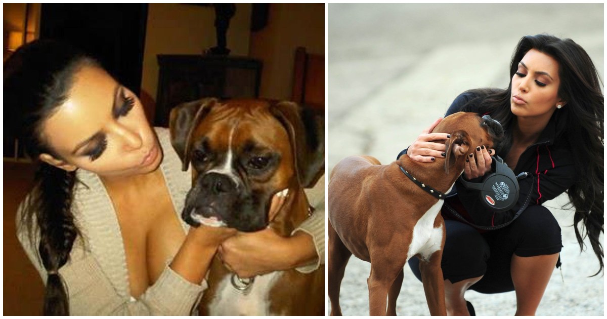 H Κιμ Καρντάσιαν ξόδεψε πάνω από 10.000 ευρώ για να βάλει ψεύτικους όρχεις στο σκύλο της