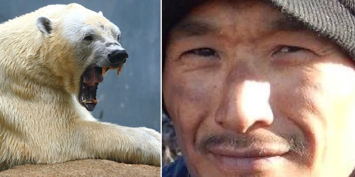 Πολική αρκούδα και το μικρό της σκότωσαν έναν κυνηγό και τραυμάτισαν άλλους δύο