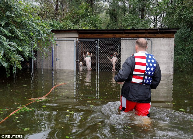 On Sunday rescue volunteer Ryan Nichols of Longview, Texas rescued six dogs abandoned in a locked cage in Leland, North Carolina, where they nearly drowned in Hurricane Florence's rising flood watersÂ 