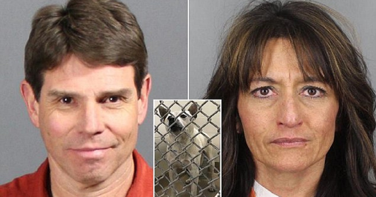 Ζευγάρι συνελήφθη επειδή βίαζε το σκύλο του σε τροχόσπιτο