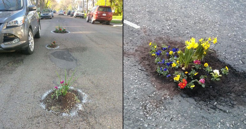 Κάτοικοι φυτεύουν λουλούδια στις λακκούβες των δρόμων
