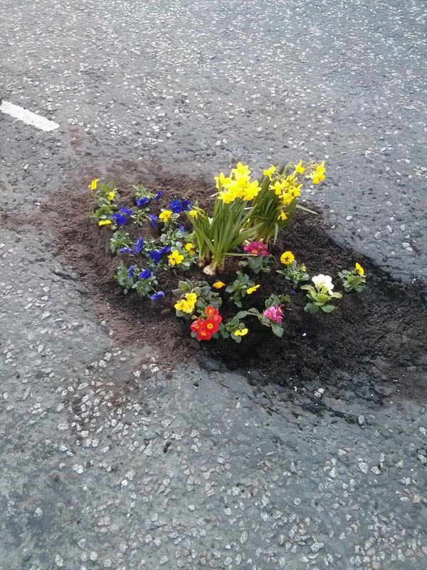 perierga.gr - Οι κάτοικοι φυτεύουν λουλούδια στις λακκούβες των δρόμων!