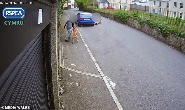 The disturbing attack, which shows the teenagers parading the dead cat named Sully around afterwards was caught on CCTV on May 9. The offenders Â¿ aged 17 and 15 Â¿ were sentenced after admitting to causing unnecessary suffering to the cat in Merthyr Tydfil, Wales