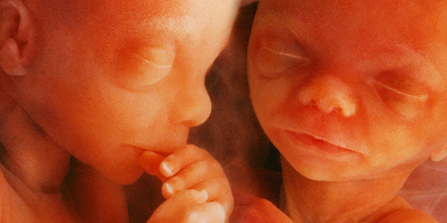 Στη μήτρα μιας μητέρας βρίσκονται δύο μωρά. Το ένα ρωτά το άλλο: «Πιστεύεις στη ζωή μετά τον τοκετό;»