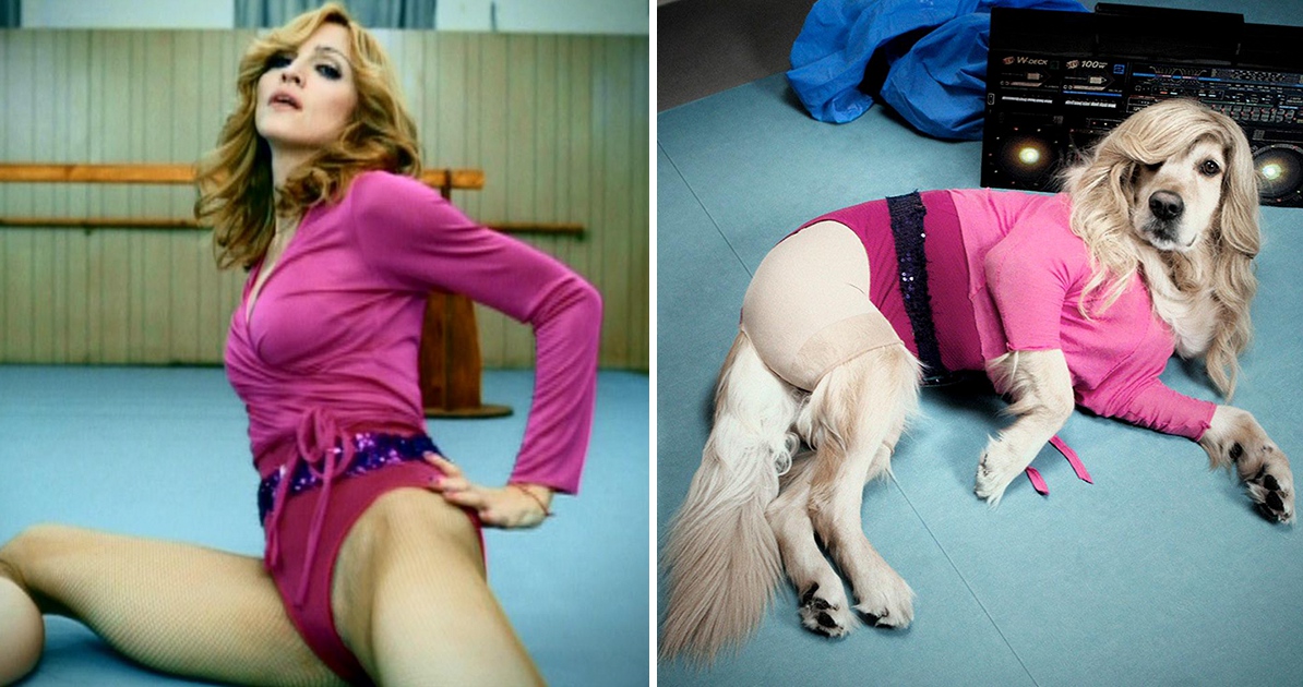 Φωτογράφος έβαλε τον σκύλο του να ποζάρει όπως η Madonna και το αποτέλεσμα είναι επικό