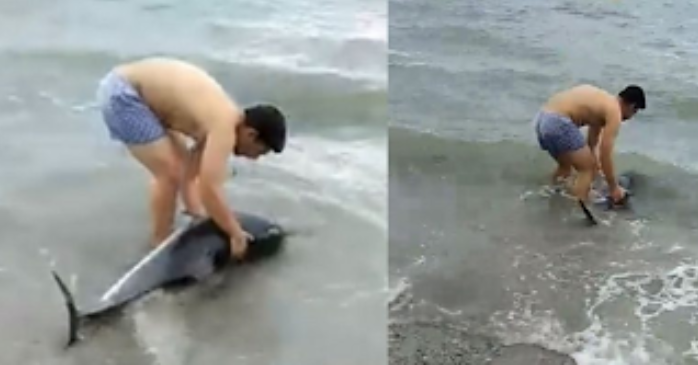 Άντρας στην Κομοτηνή πήρε αγκαλιά δελφίνι και βούτηξε στην παγωμένη θάλασσα για να το σώσει
