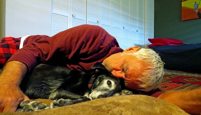 Η απώλεια ενός σκύλου πληγώνει όσο η απώλεια ενός αγαπημένου ανθρώπου σύμφωνα με νέα έρευνα