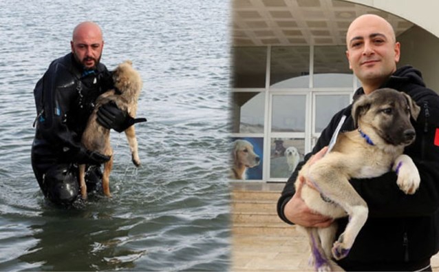 Ήρωας αστυνομικός στην Τουρκία βούτηξε σε παγωμένη λίμνη για να σώσει ένα σκυλί