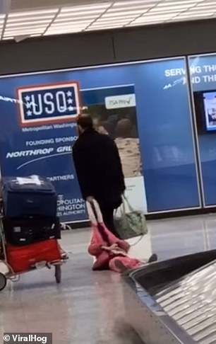 The little girl didn't seem to have any problems with her unusual traveling arrangement