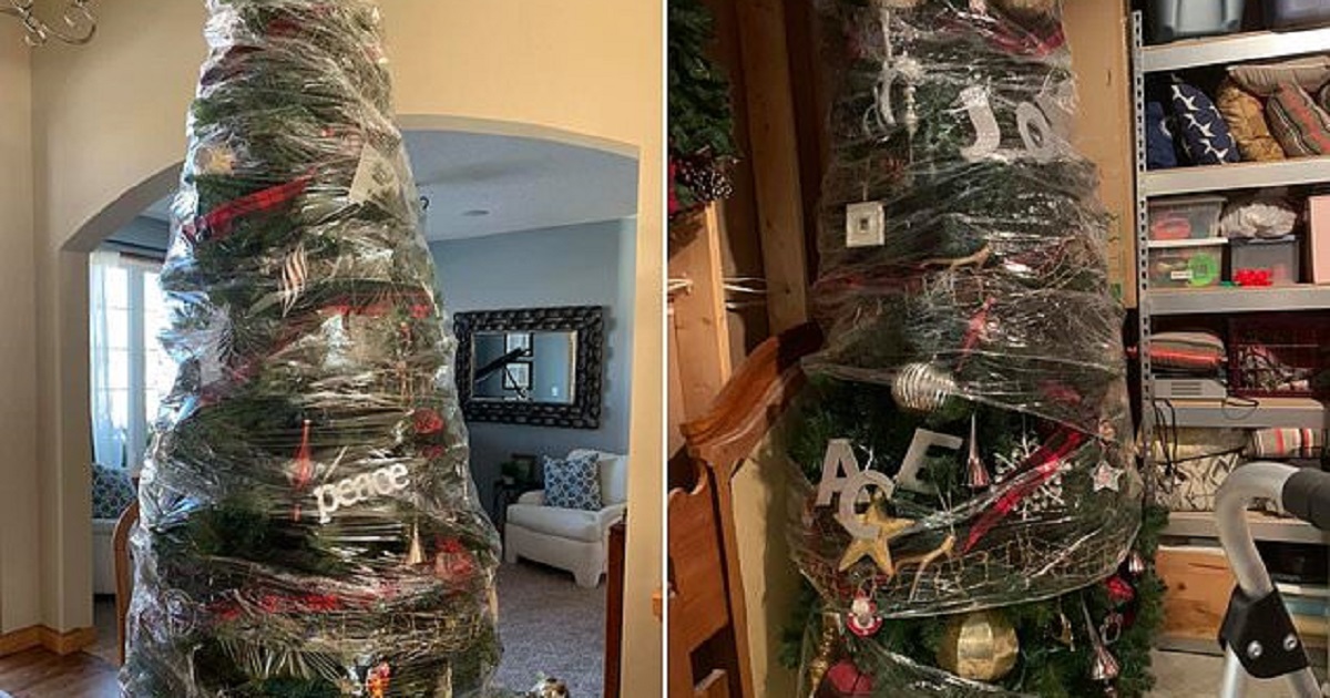 Μάνα που βαριόταν ανακάλυψε τον πιο γρήγορο τρόπο να αποθηκεύσετε το Χριστουγεννιάτικου δέντρο σας