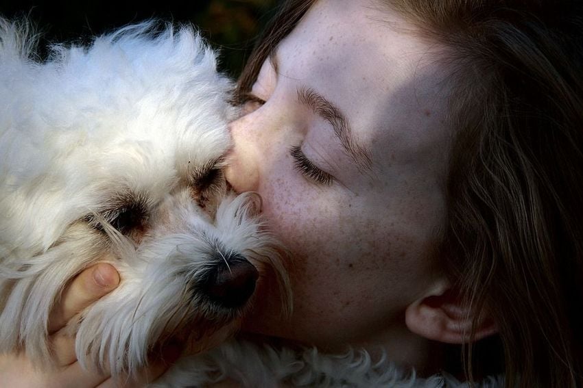 Η απώλεια ενός σκύλου πληγώνει όσο η απώλεια ενός αγαπημένου ανθρώπου σύμφωνα με έρευνα - Εικόνα 3