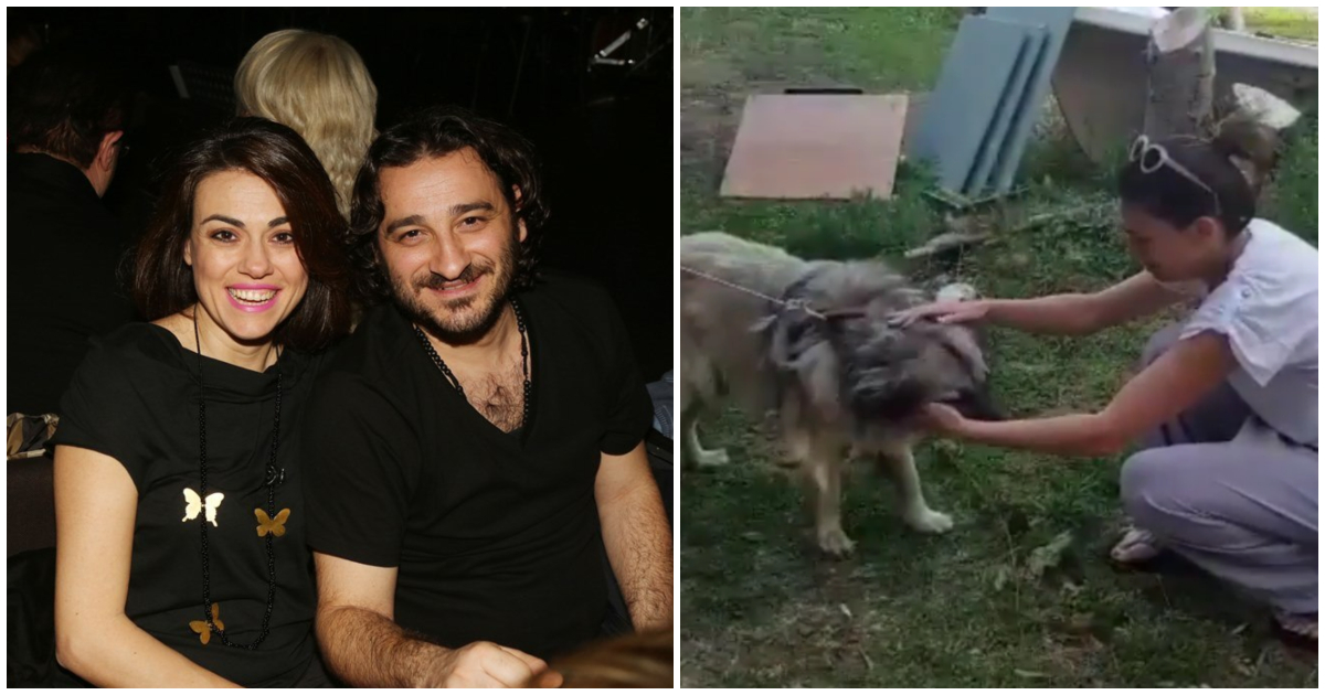 Ο Βασίλης Χαραλαμπόπουλος βρήκε το σκύλο του μετά από 2,5 χρόνια και η γυναίκα του ξέσπασε σε δάκρυα χαράς