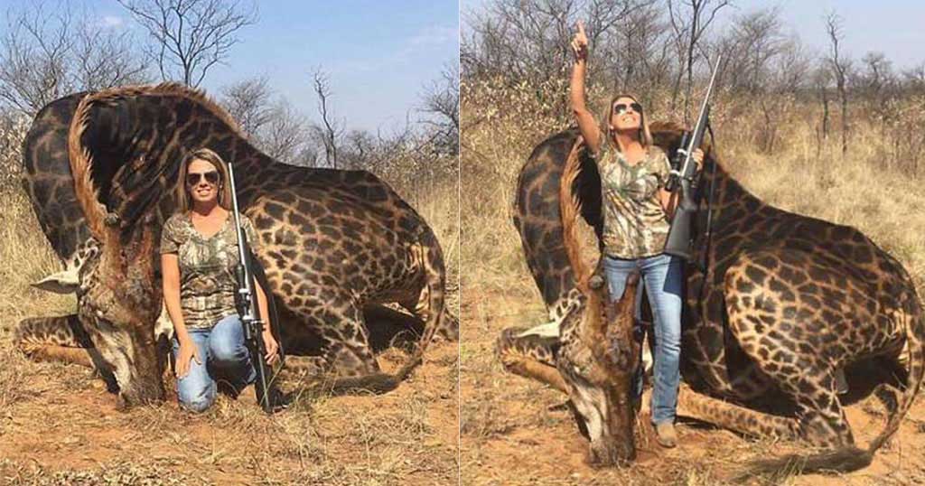 Aμερικανίδα κυνηγός φωτογραφήθηκε περήφανη με σπάνια μαύρη καμηλοπάρδαλη που σκότωσε