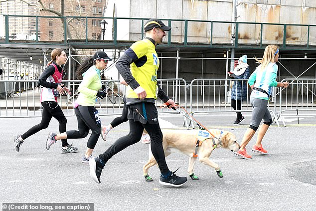 Each dog ran between three-to-five miles and Panek's pace averaged 10.5 minutes per mile