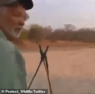 Video shared on social media shows trophy hunter Guy Gorney, 64, shooting and killing a sleeping lion and then being congratulated on the kill in Zimbabwe in 2011