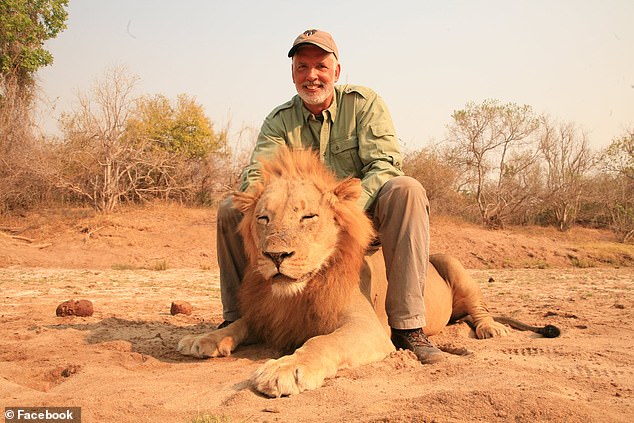 His current profile photo on Facebook shows him straddling a dead lion in the same outfit that he's wearing in the video where he kills the sleeping lion, 'in the Chewore river bed' of Zimbabwe, according to the caption