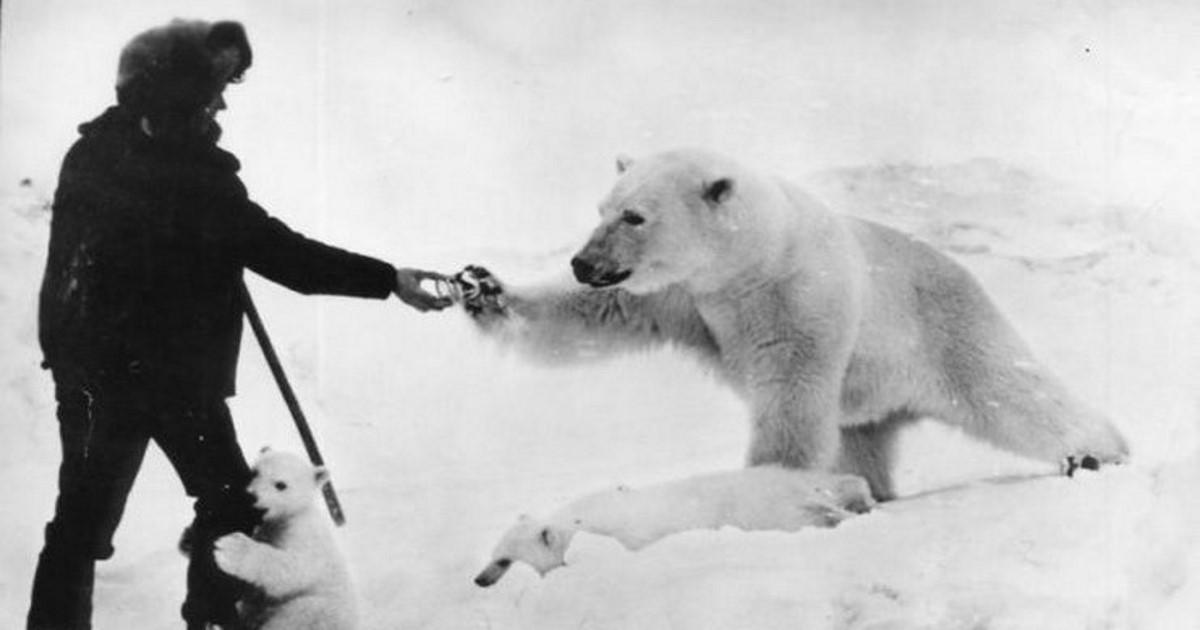 Ο άνδρας ταΐζει την πολική αρκούδα την ώρα που το μωρό της τον αγκαλιάζει με τρυφερότητα. Η συγκινητική ιστορία μιας φωτογραφίας