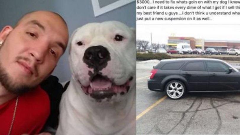 Άνδρας έβαλε σε αγγελία το αυτοκίνητό του για να σώσει τον σκύλο του
