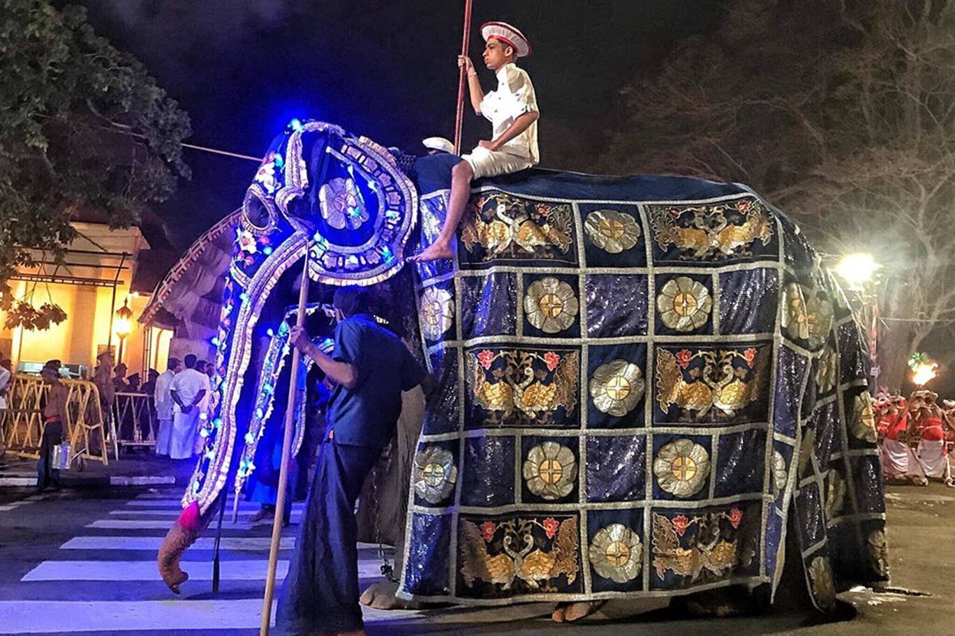 Σοκαριστικές εικόνες δείχνουν αποσκελετωμένο ελέφαντα μετά από παρέλαση στη Σρι