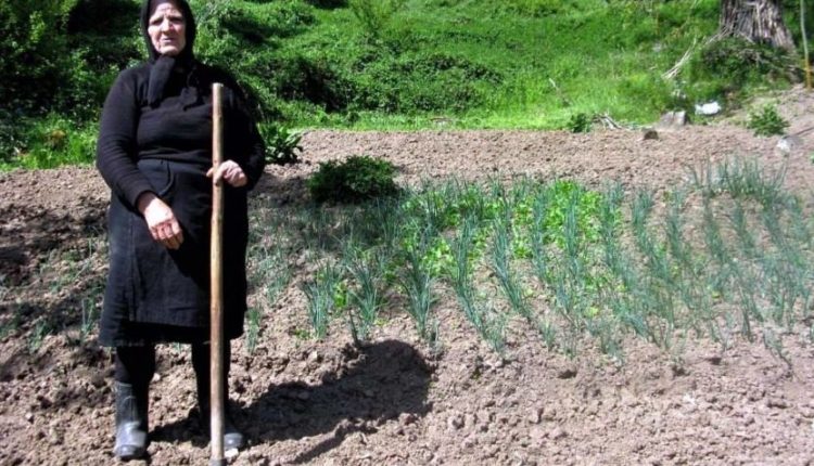 Αφιερωμένο στη γυναίκα Αγρότισσα που μάτωνε τα χέρια της να κρατήσει ζωντανή την φαμίλια της