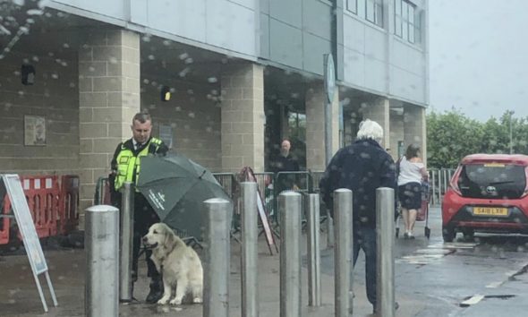 Άνδρας security κράτησε ομπρέλα σε σκύλο για να μη βραχεί και όλος ο πλανήτης υποκλίνεται