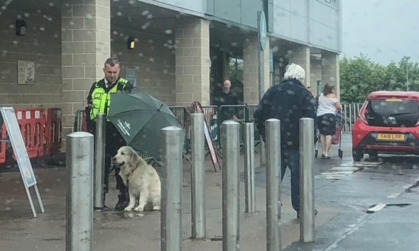 Φύλακας κρατάει ομπρέλα για να προστατέψει σκύλο από τη βροχή- Ο κηδεμόνας του είχε μπει στο κατάστημα για ψώνια