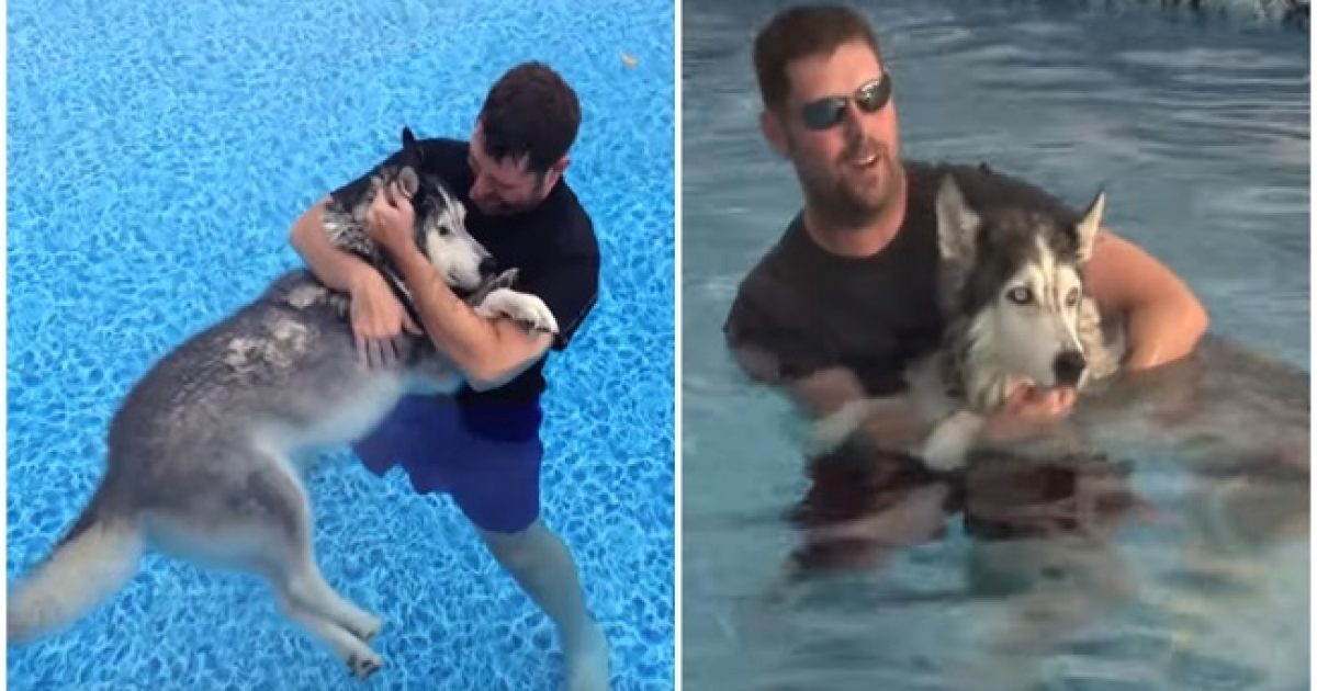 Άντρας έβαλε το γέρικο, άρρωστο σκυλί του στην πισίνα και του έσωσε τη ζωή