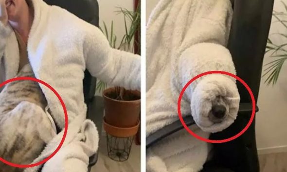 Σκυλο-κρυουλιάρης τρυπώνει στο μπουρνούζι της ιδιοκτήτριας του να χουχουλιάζει