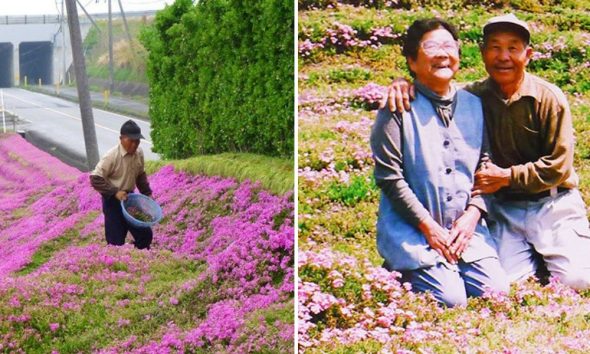 Άντρας πέρασε 2 χρόνια φυτεύοντας χιλιάδες λουλούδια για να τα μυρίζει η τυφλή σύζυγός του