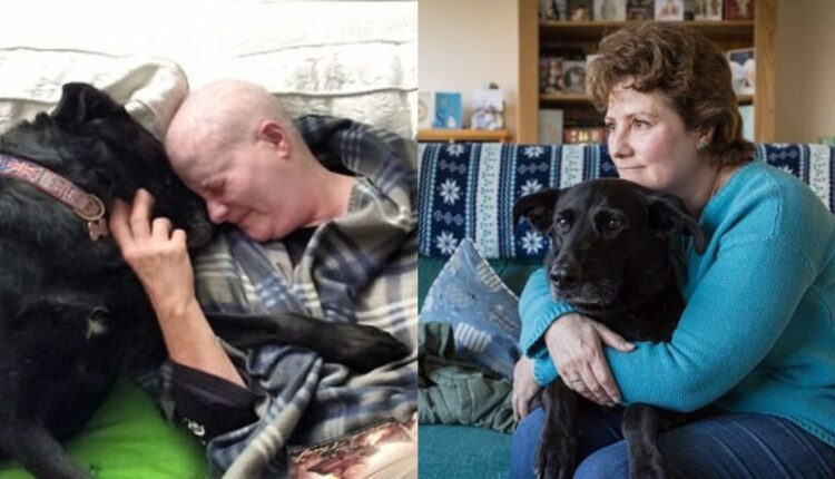 Κηδεμόνας και σκύλος πολεμούν ταυτόχρονα τον καρκίνο και βγαίνουν νικητές από την μεγάλη μάχη