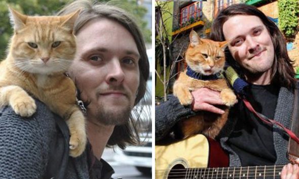 Άστεγος τοξικομανής βρήκε έναν γάτο που του άλλαξε τη ζωή – «Καθάρισε» και έγινε συγγραφέας
