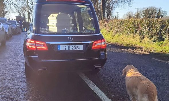 Πιστός μέχρι το τέλος: Σκύλος ακολουθεί την κηδεία της γυναίκας που τον είχε