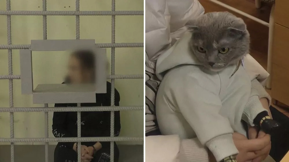 Ρωσίδα μεταμφίεσε την γάτα της σε μωρό για να μεταφέρει ναρκωτικά