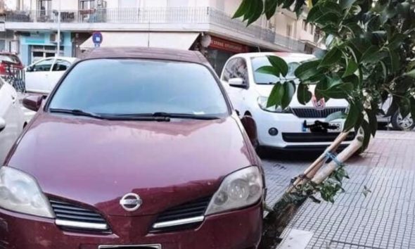 Θεσσαλονίκη: Ασυνείδητος πάρκαρε το όχημά του πάνω σε κορμό δέντρου – Τον μήνυσε ο Αντιδήμαρχος Περιβάλλοντος