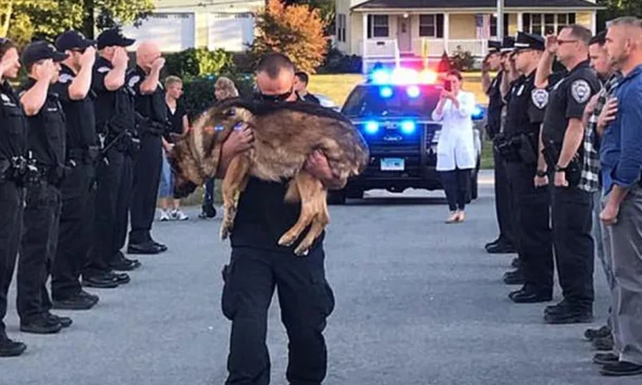 Αστυνομικοί αποχαιρετούν τον συνάδελφο σκύλο τους που πέθανε από καρκίνο