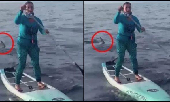 ΗΠΑ: Γυναίκα «τέρας» ψυχραιμίας, έκανε SUP μαζί με καρχαρία 500 κιλών