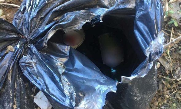 Πειραιάς: Εντοπίστηκαν 39 βόμβες μολότοφ σε αυτοκίνητο μετά από τροχαίο έλεγχο – Συνελήφθησαν 2 άνδρες