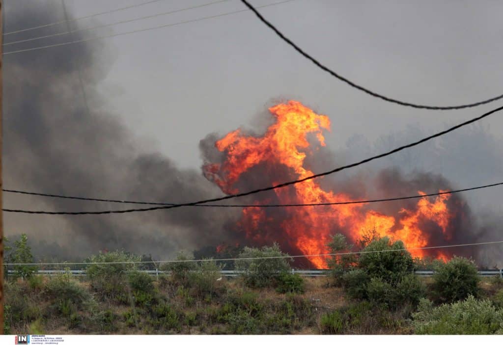 Φωτιά στον Έβρο: Συνεχίζει να κατακαίει τα πάντα η φωτιά - Νέα μηνύματα του  112 για εκκενώσεις οικισμών | Play News