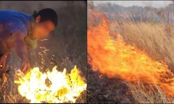 17χρονος «προσπαθούσε» να σβήσει την φωτιά στα Ψαχνά αλλά κάμερα τον κατέγραψε να καίει θάμνο