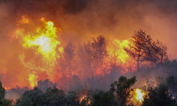 Φωτιές: Σε εξέλιξη βρίσκονται τα πύρινα μέτωπα – Μάχη με τις αναζωπυρώσεις σε Πάρνηθα και Έβρο