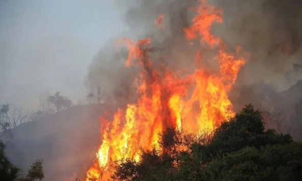 Πυρκαγιά τώρα στη Μεσσηνία: Καίει σε δύσβατο σημείο της Μάδενας