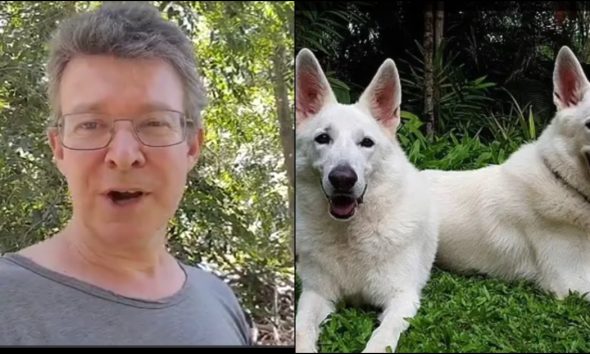 Βρετανός ζωολόγος βίασε και σκότωσε δεκάδες σκυλιά: «Δεν θέλω να σταματήσω»