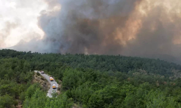 Πυρκαγιά στον Έβρο: 582 πυροσβέστες μάχονται για 15η μέρα – Φόβος για ενίσχυση ανέμων
