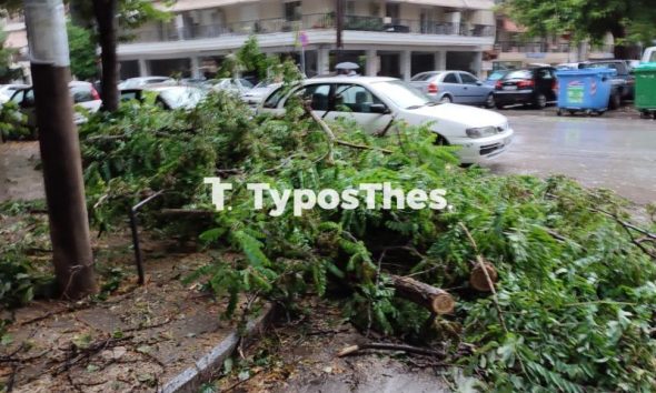 Κακοκαιρία: Σφοδροί άνεμοι στη Θεσσαλονίκη – Πτώσεις δέντρων και φθορές σε ΙΧ