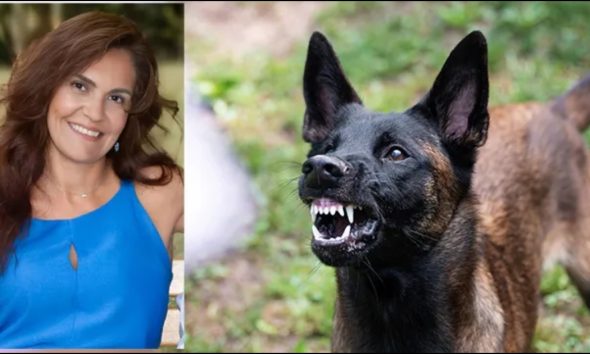 Έκτακτο: «Είχαν γίνει στο παρελθόν καταγγελίες για τα σκυλιά που κατασπάραξαν την 50χρονη», ξέσπασαν οι κάτοικοι Νεοχωρούδας 