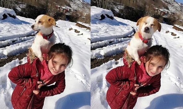 8χρονο κορίτσι περπάτησε 2μιση χιλιόμετρα στο χιόνι με τον σκύλο της στην πλάτη για να τον πάει στον κτηνίατρο