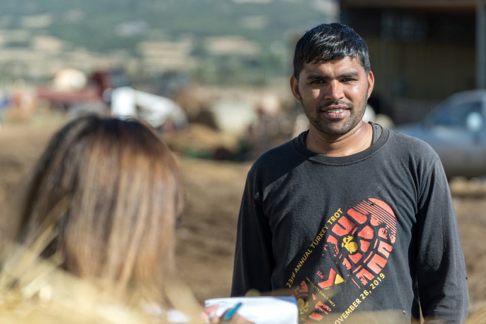 Ινδοί αγρότες έγιναν κτηνοτρόφοι σε μονάδα της Χαλκιδικής -«Η ζωή στην Ελλάδα είναι ωραία» - iefimerida.gr