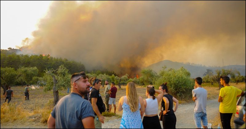 Φωτιά τώρα στη Ρόδο: Καίει ανεξέλεγκτα δασική έκταση