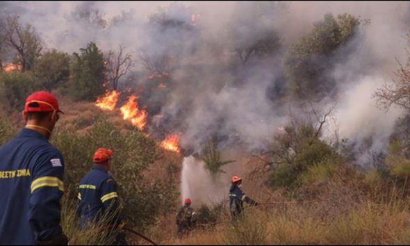 Φωτιά τώρα και σε δασική έκταση στη Λακωνία – Στις φλόγες ολόκληρη δασική έκταση