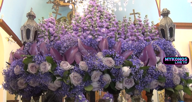 Δέος και ενθουσιασμό προκάλεσε ο βιολετί Επιτάφιος με τα σπάνια λουλούδια στη Μύκονο